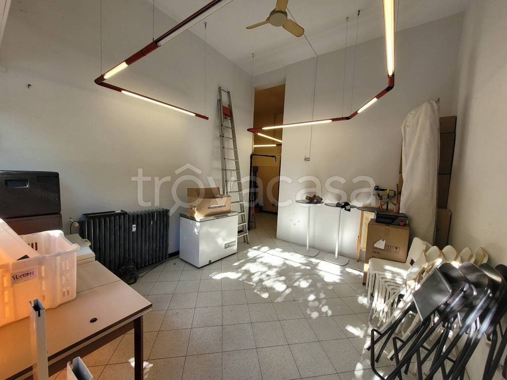 immagine annuncio 4 di 14