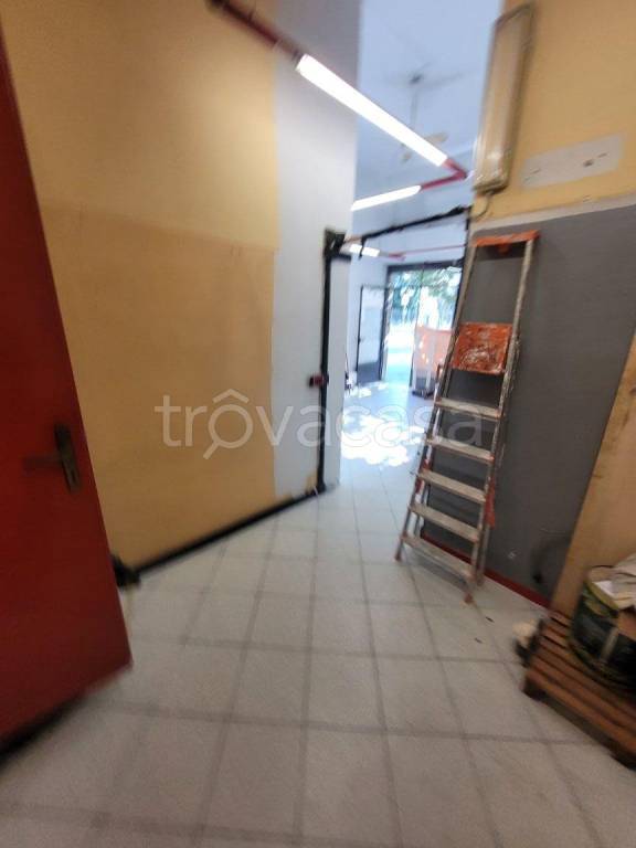 immagine annuncio 11 di 14