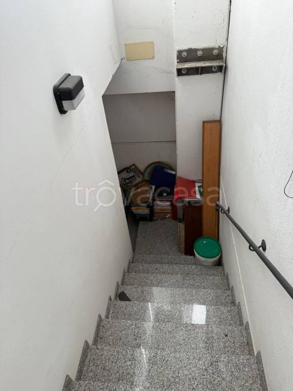 immagine annuncio 11 di 14