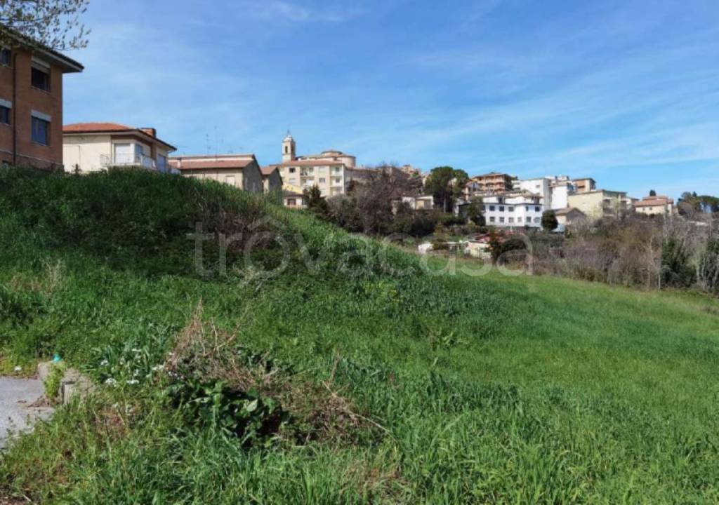 immagine annuncio 4 di 12