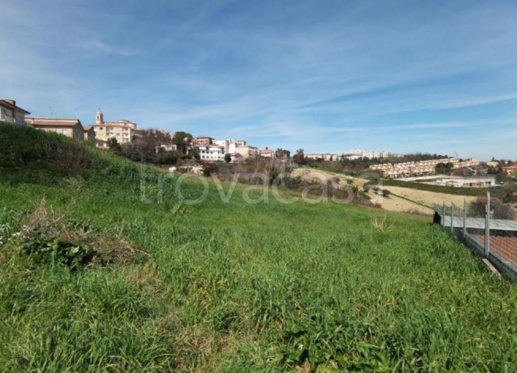 immagine annuncio 5 di 12