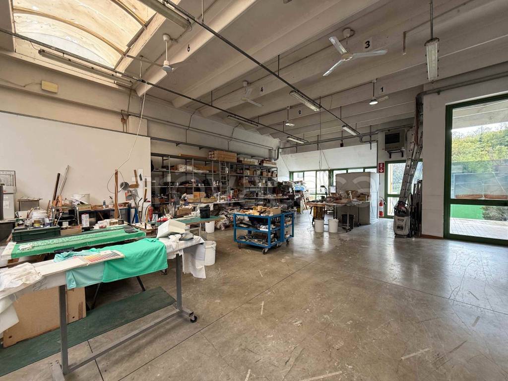 immagine annuncio 9 di 15