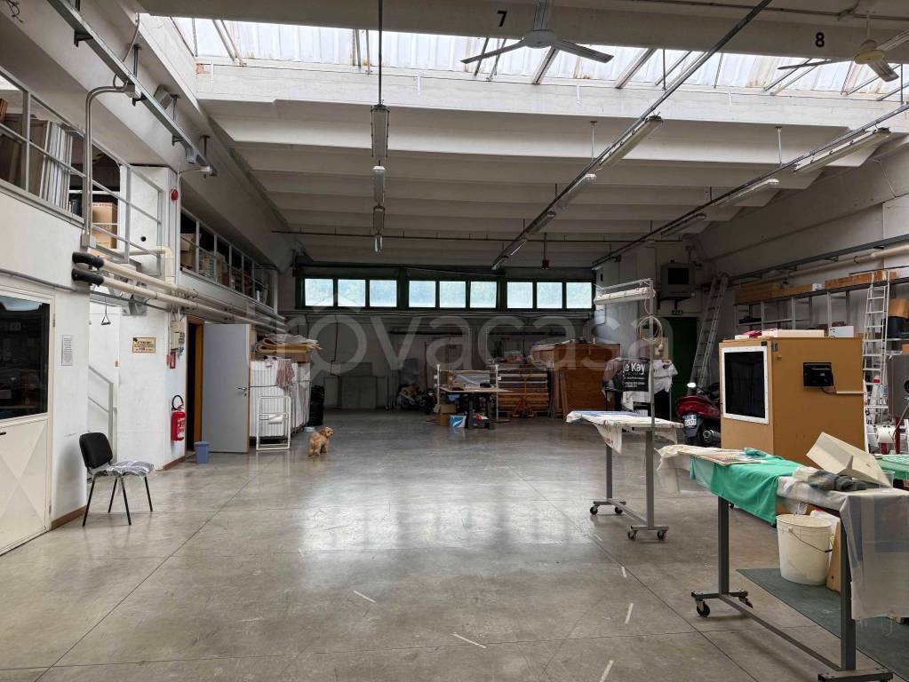 immagine annuncio 10 di 15