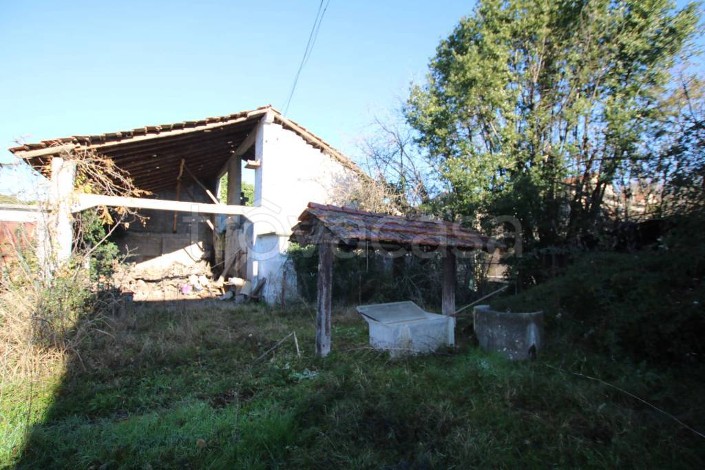 immagine annuncio 5 di 7