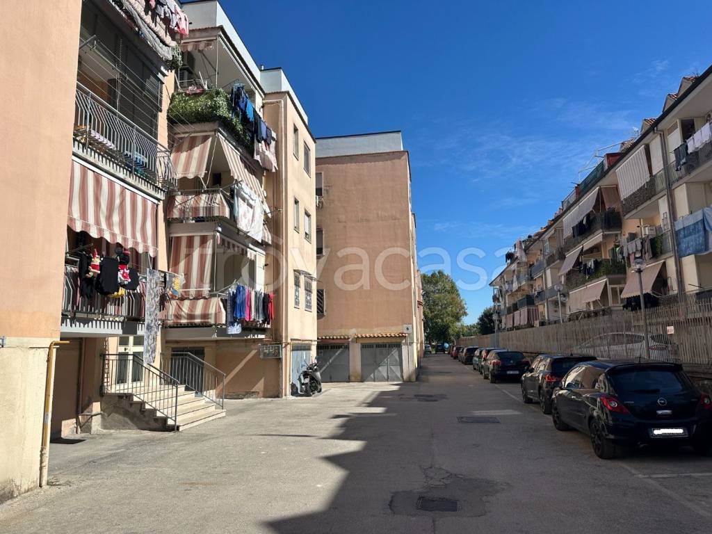 immagine annuncio 2 di 6