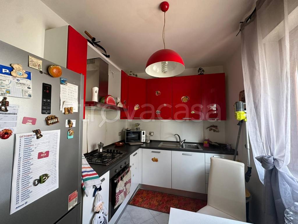 immagine annuncio 3 di 12