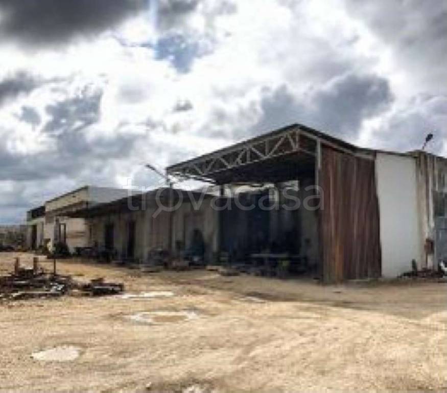 immagine annuncio 2 di 12