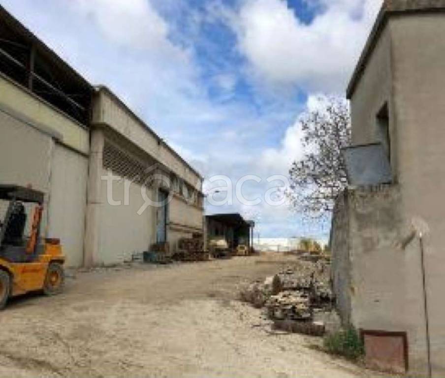 immagine annuncio 4 di 12