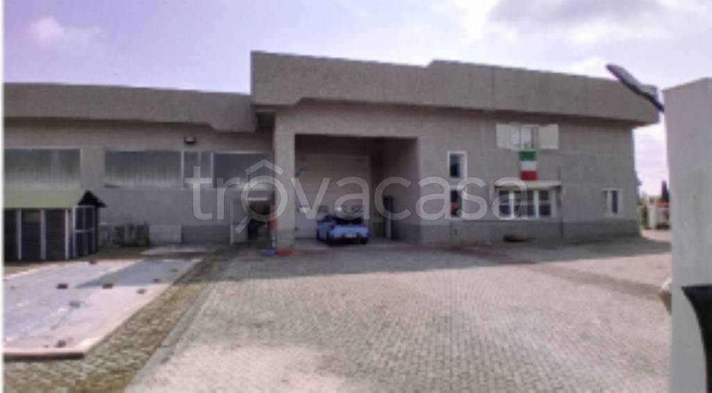 immagine annuncio 2 di 11