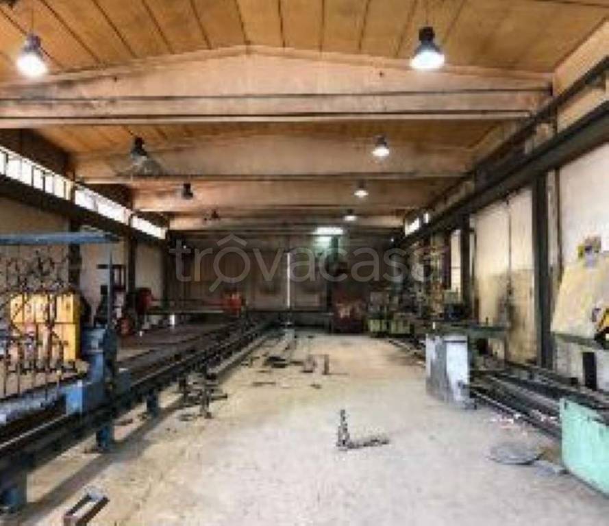 immagine annuncio 5 di 12