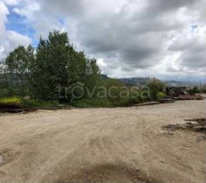 immagine annuncio 6 di 12