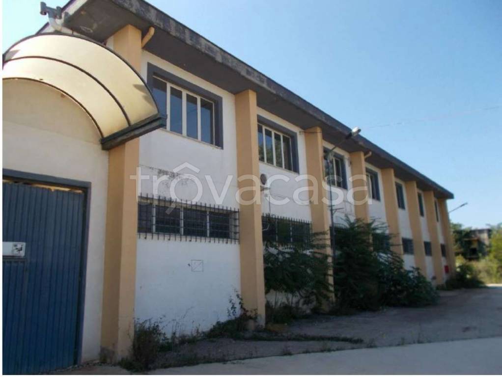 immagine annuncio 7 di 12