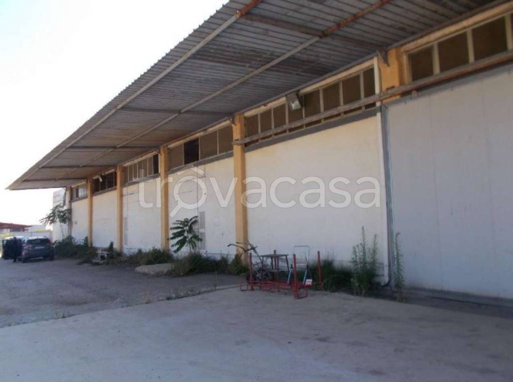 immagine annuncio 8 di 12