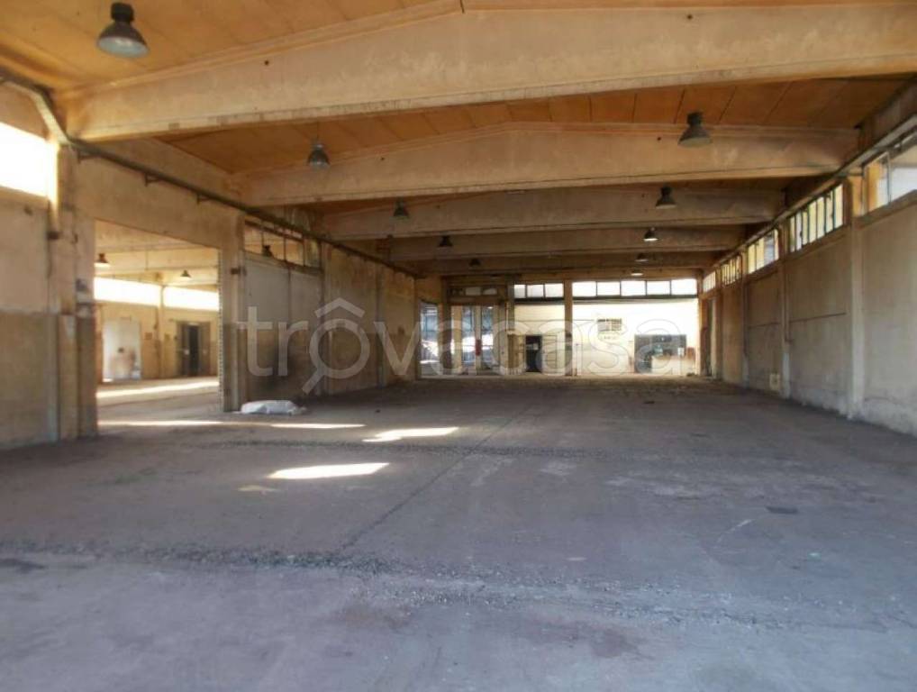 immagine annuncio 9 di 12