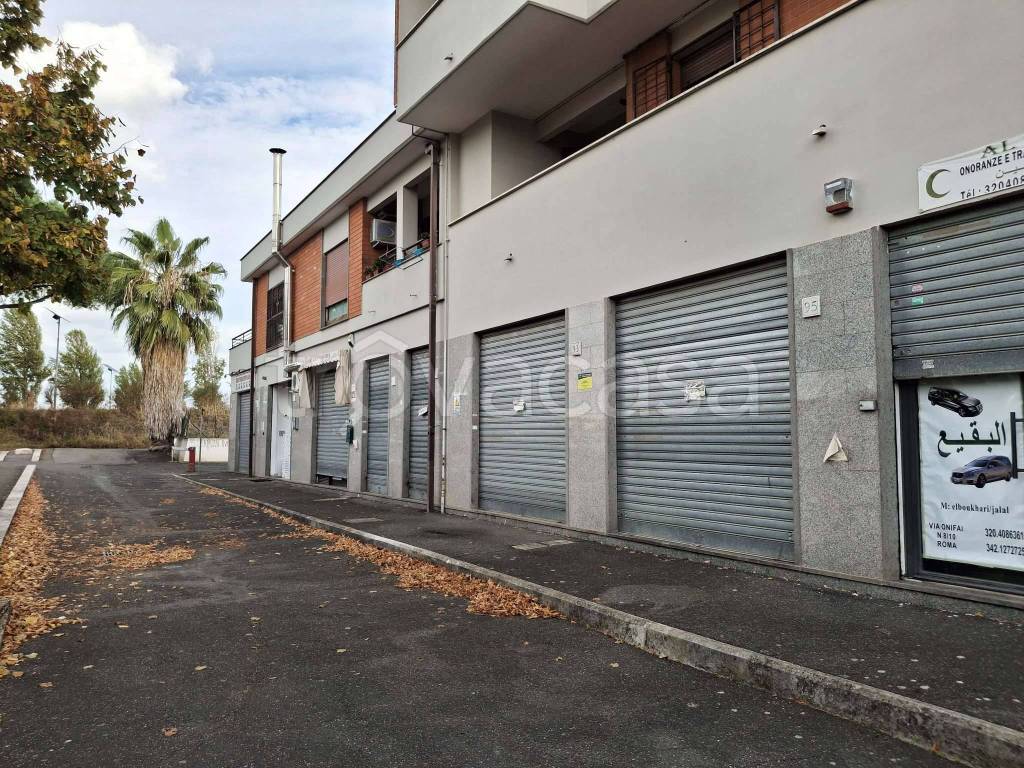 immagine annuncio 4 di 13