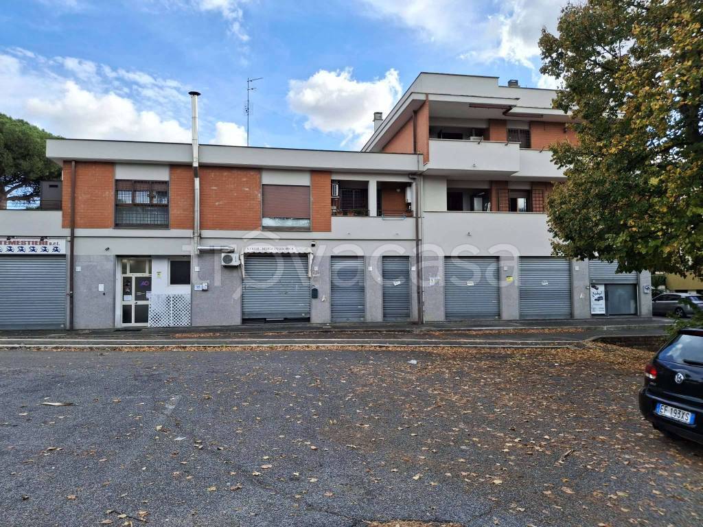 immagine annuncio 9 di 13