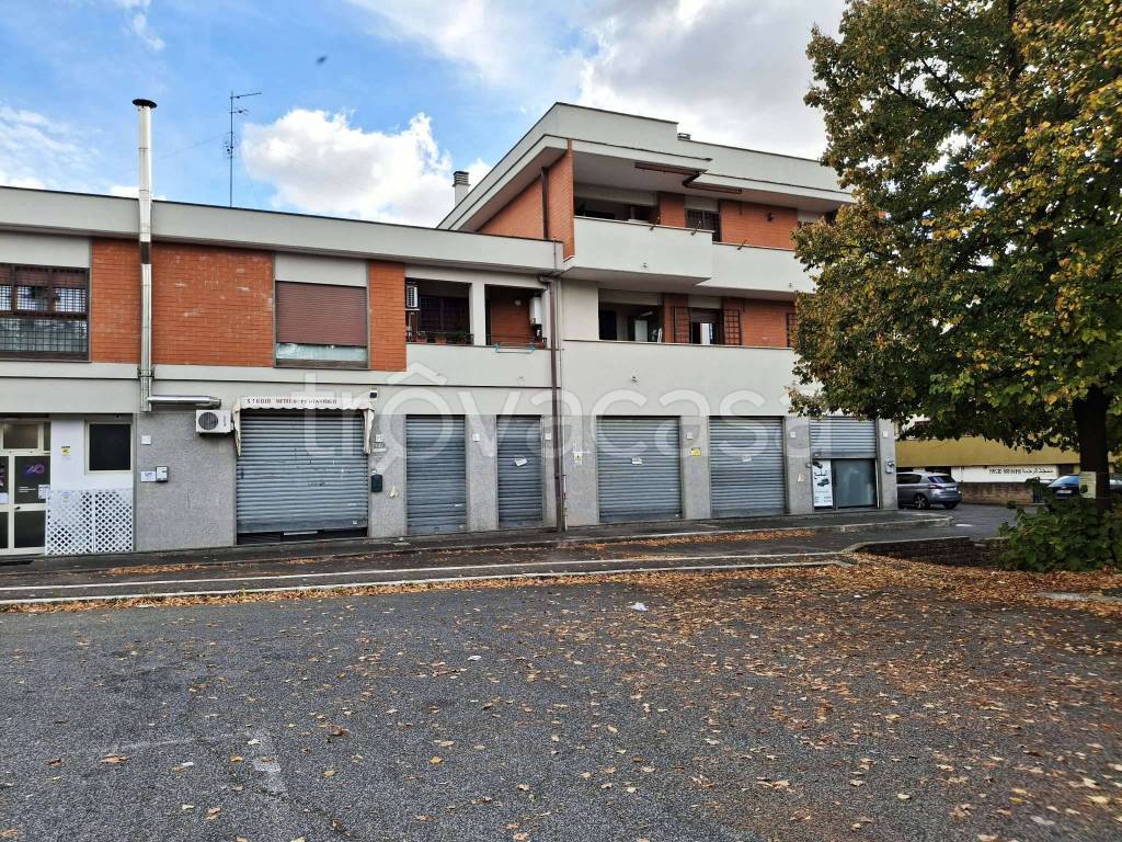 immagine annuncio 12 di 13