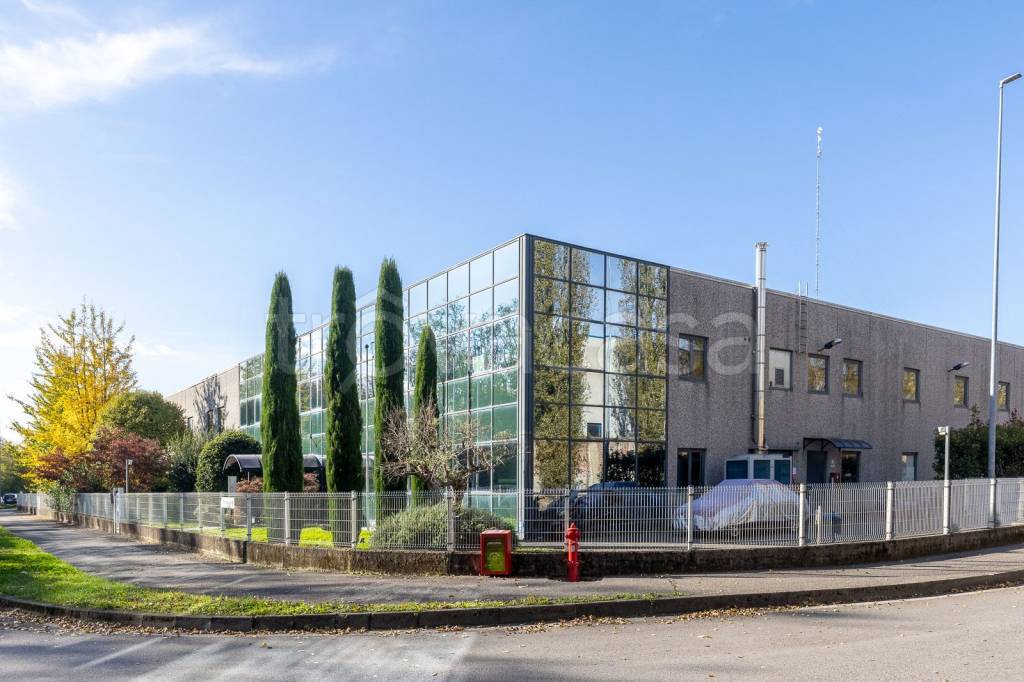 immagine annuncio 8 di 15