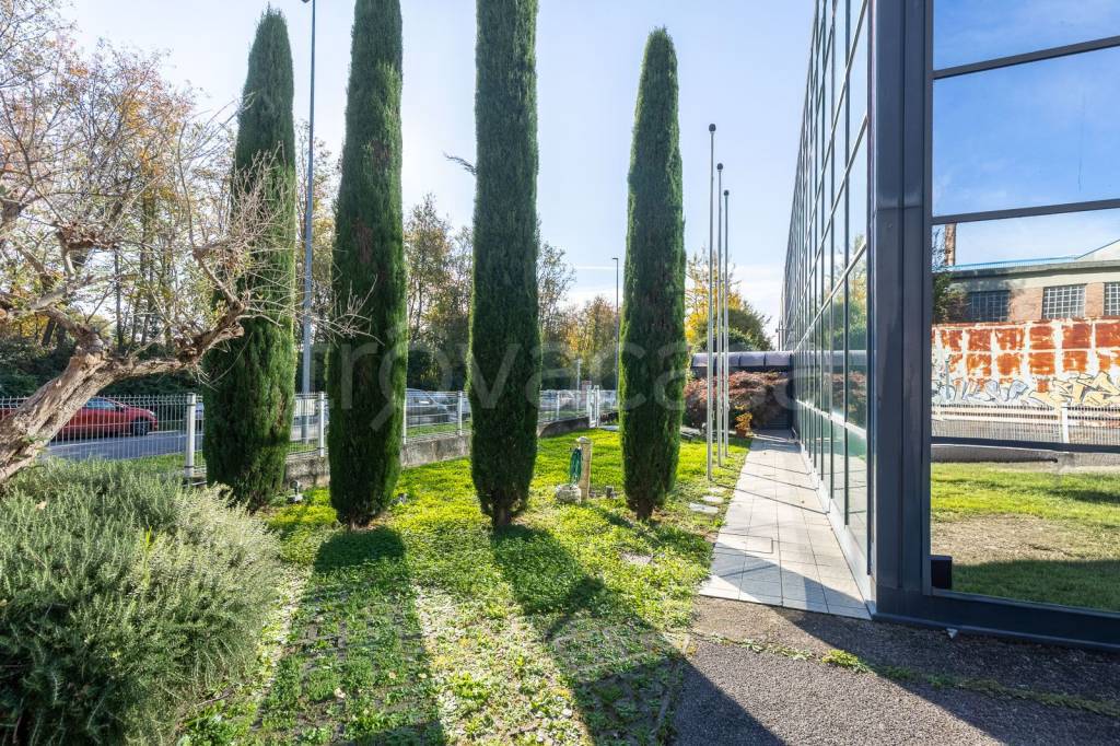 immagine annuncio 4 di 15