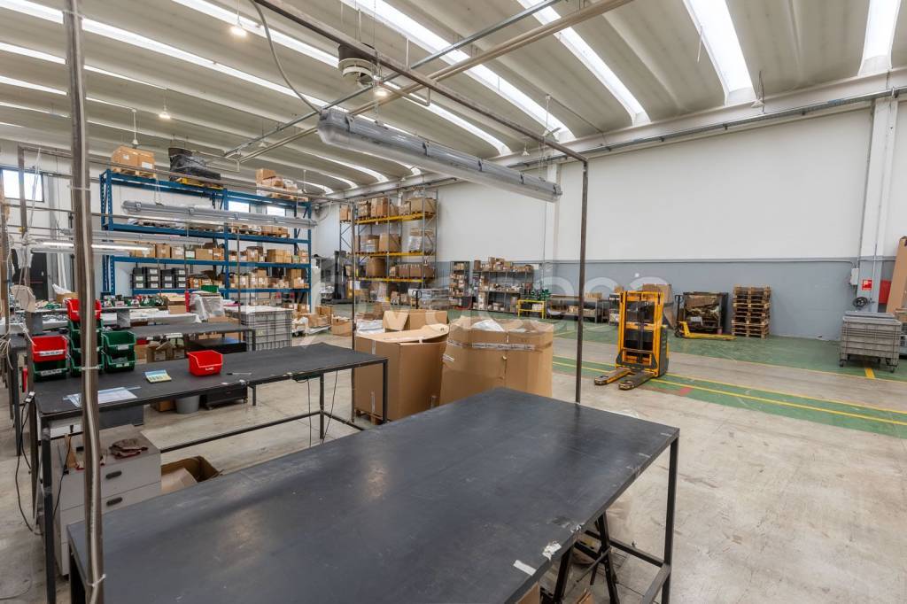 immagine annuncio 9 di 15