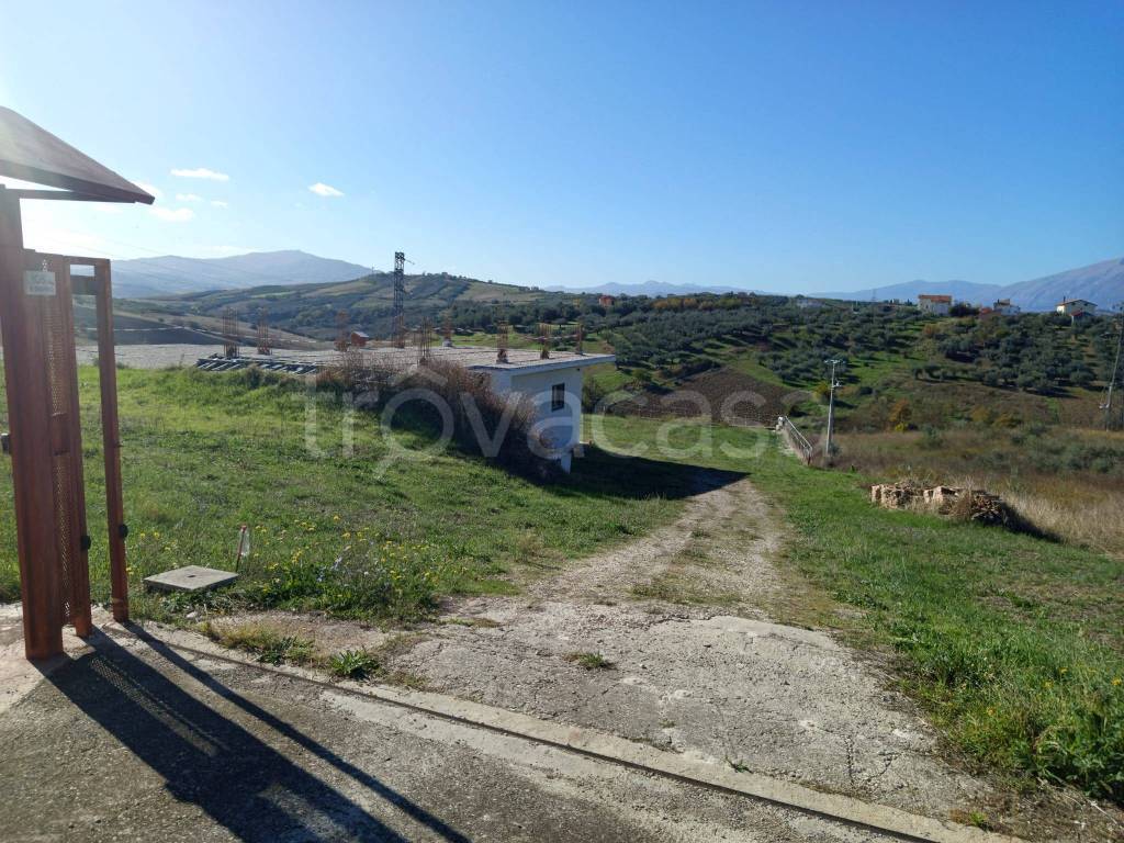 immagine annuncio 13 di 15