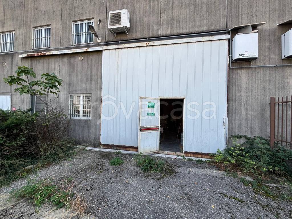 immagine annuncio 9 di 13