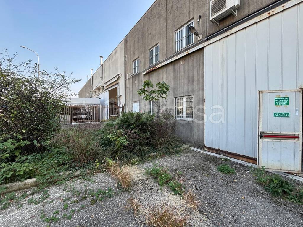 immagine annuncio 10 di 13