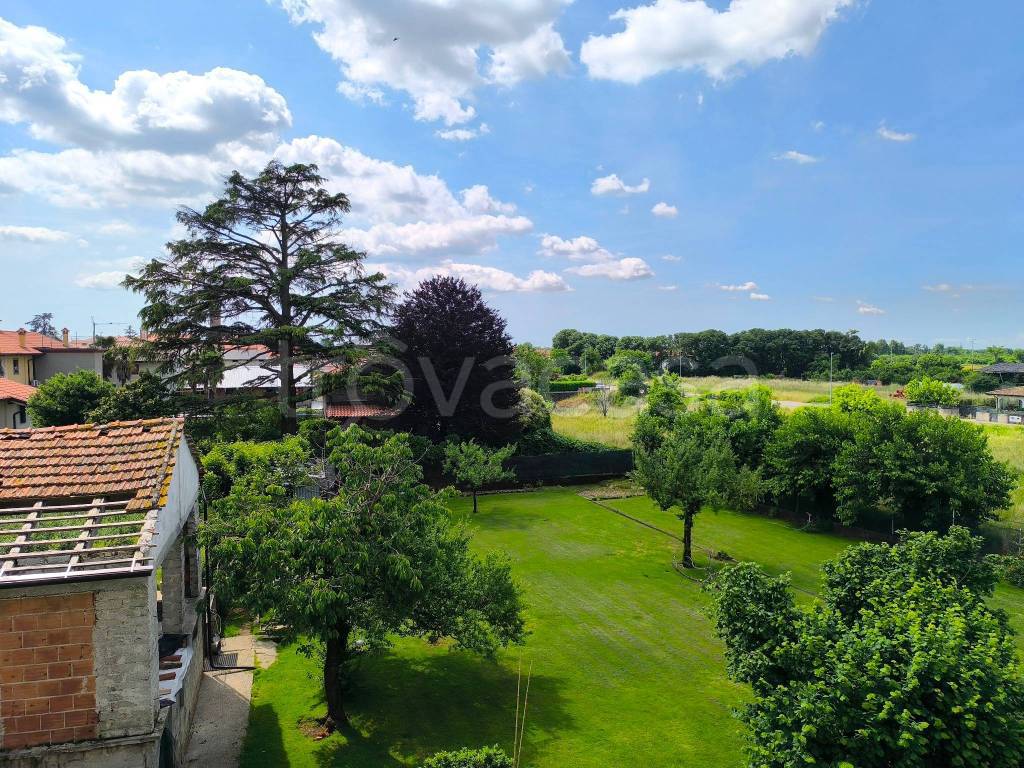 immagine annuncio 9 di 12