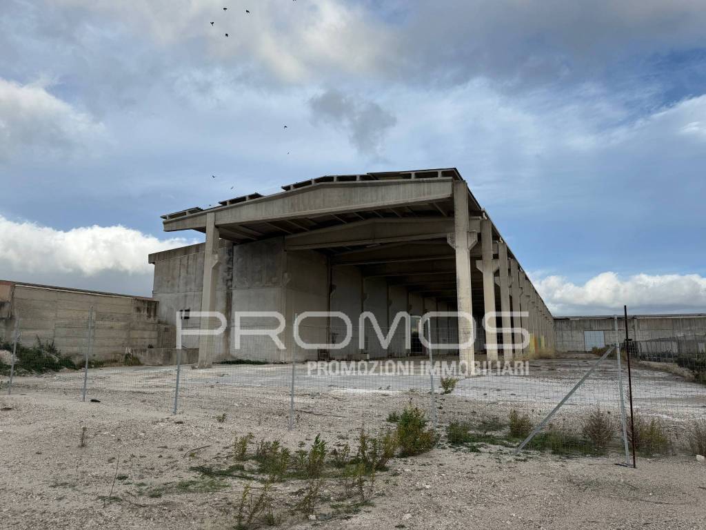 immagine annuncio 1 di 8