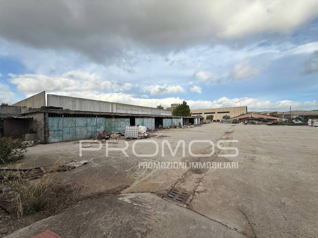 immagine annuncio 4 di 8