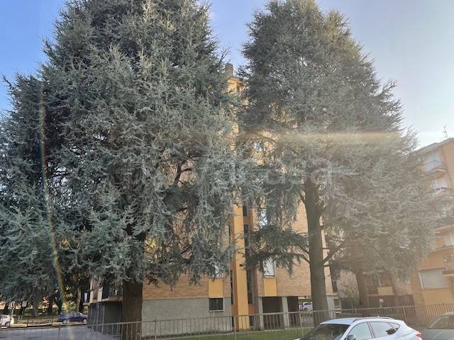 immagine annuncio 11 di 12