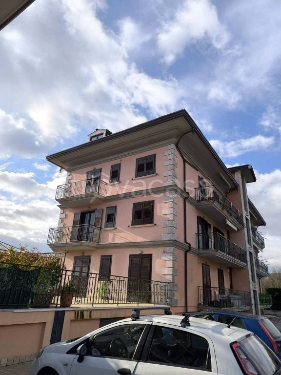 immagine annuncio 11 di 14