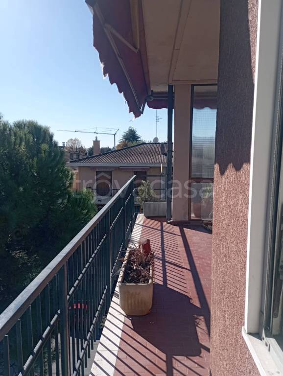 immagine annuncio 3 di 11