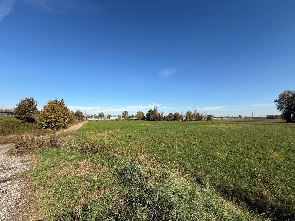 immagine annuncio 8 di 14