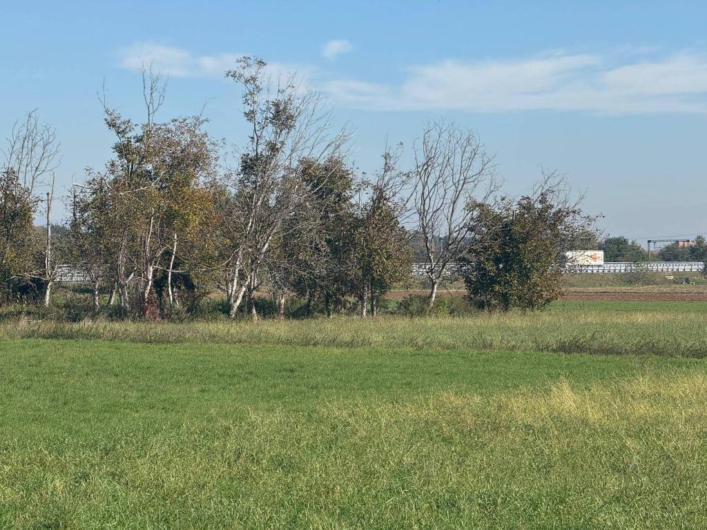 immagine annuncio 7 di 14