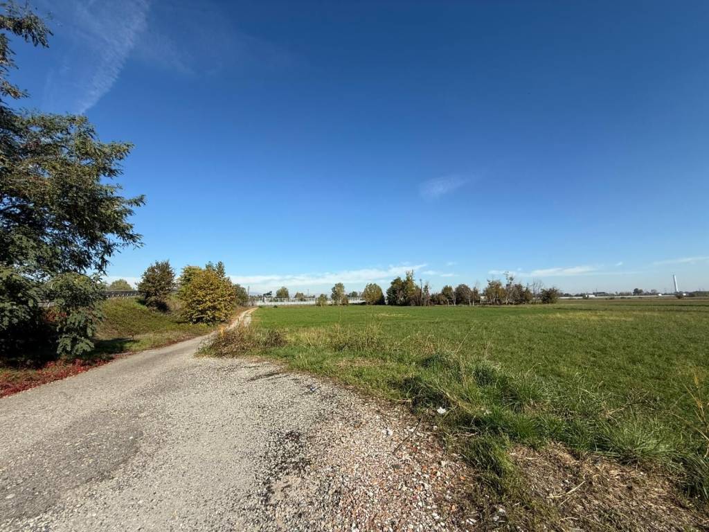 immagine annuncio 9 di 14