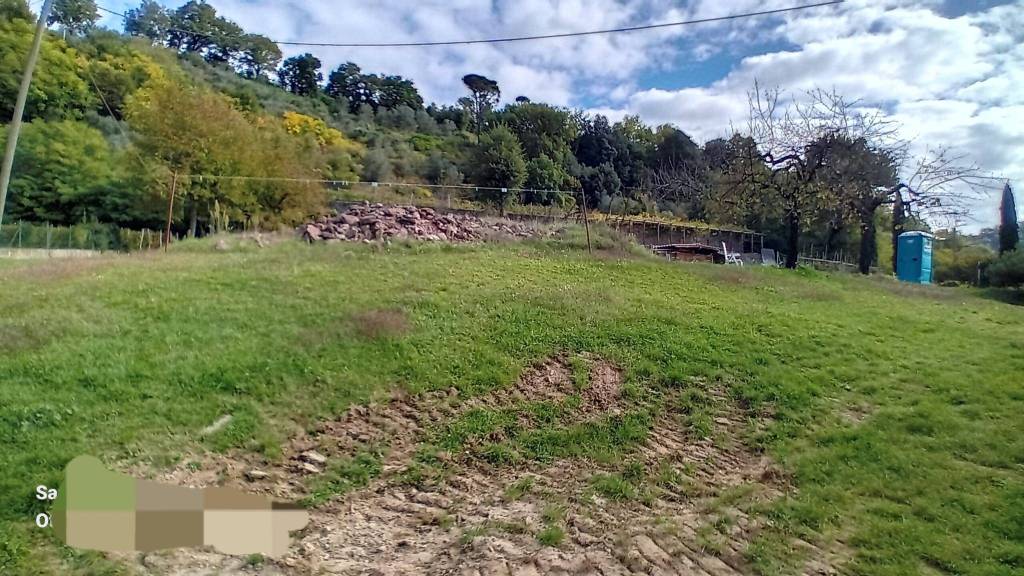 immagine annuncio 4 di 6