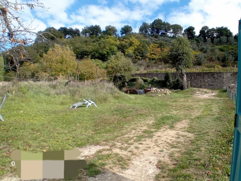 immagine annuncio 5 di 6