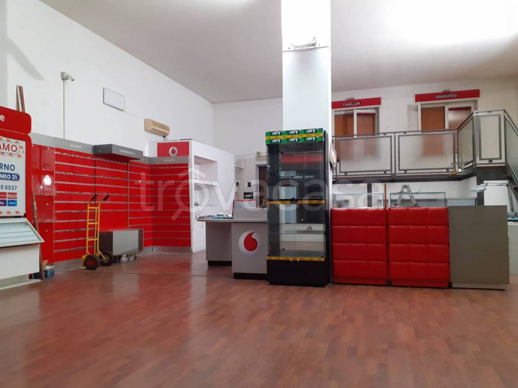 immagine annuncio 9 di 15