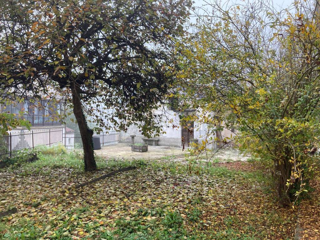 immagine annuncio 12 di 14