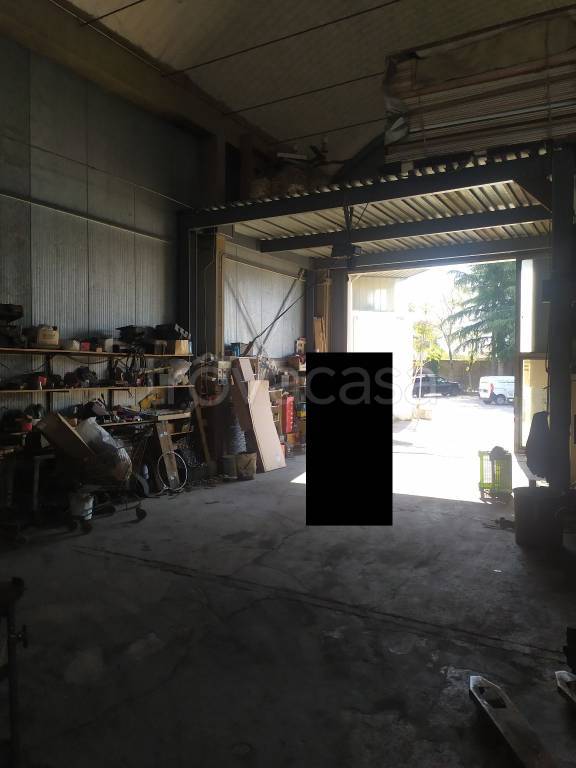 immagine annuncio 3 di 9