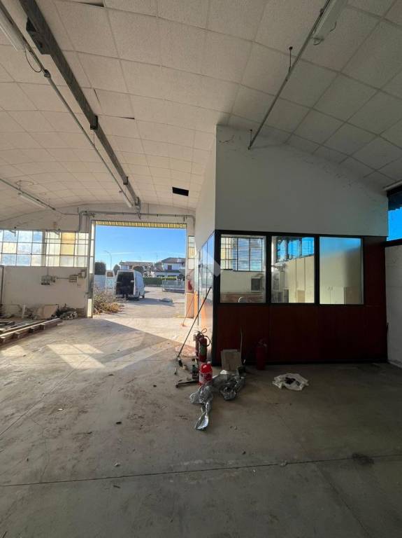 immagine annuncio 13 di 15