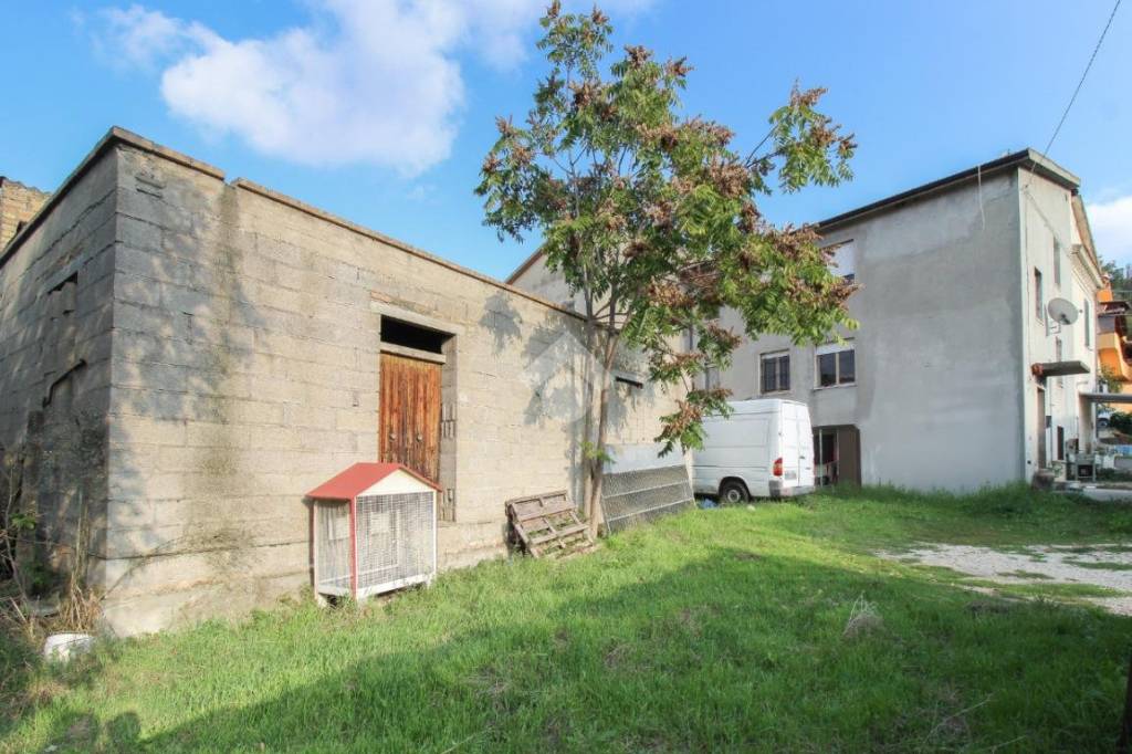 immagine annuncio 1 di 14