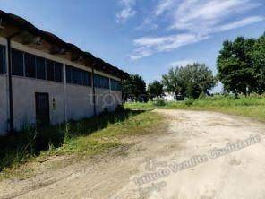 immagine annuncio 12 di 13