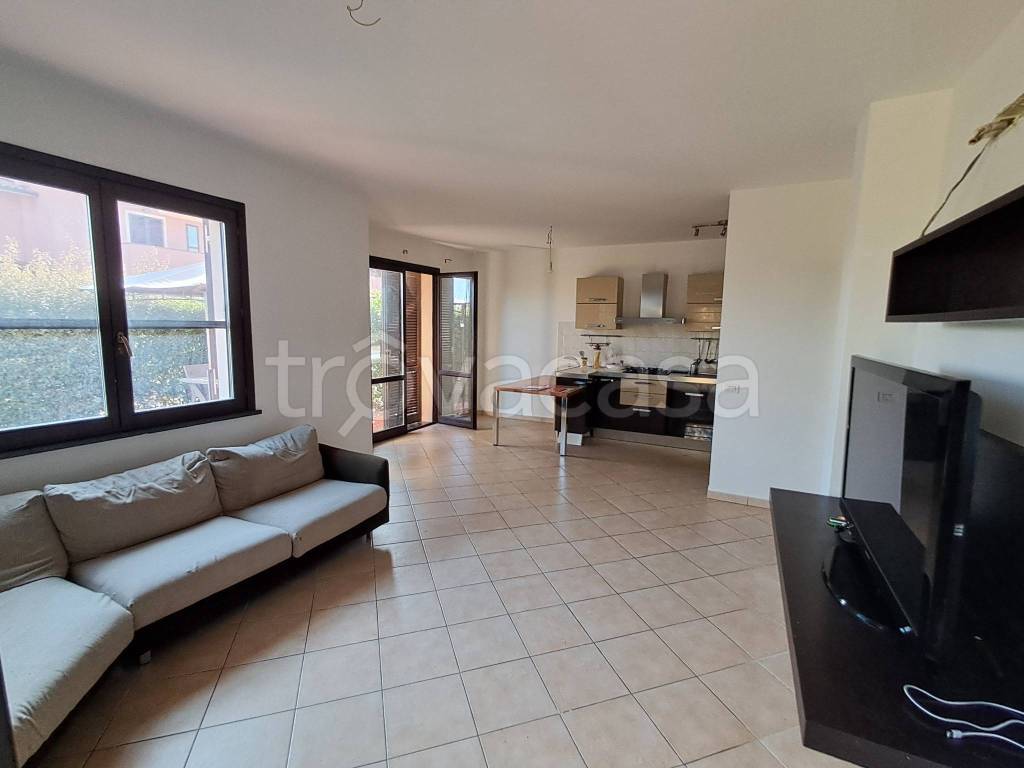 immagine annuncio 11 di 15