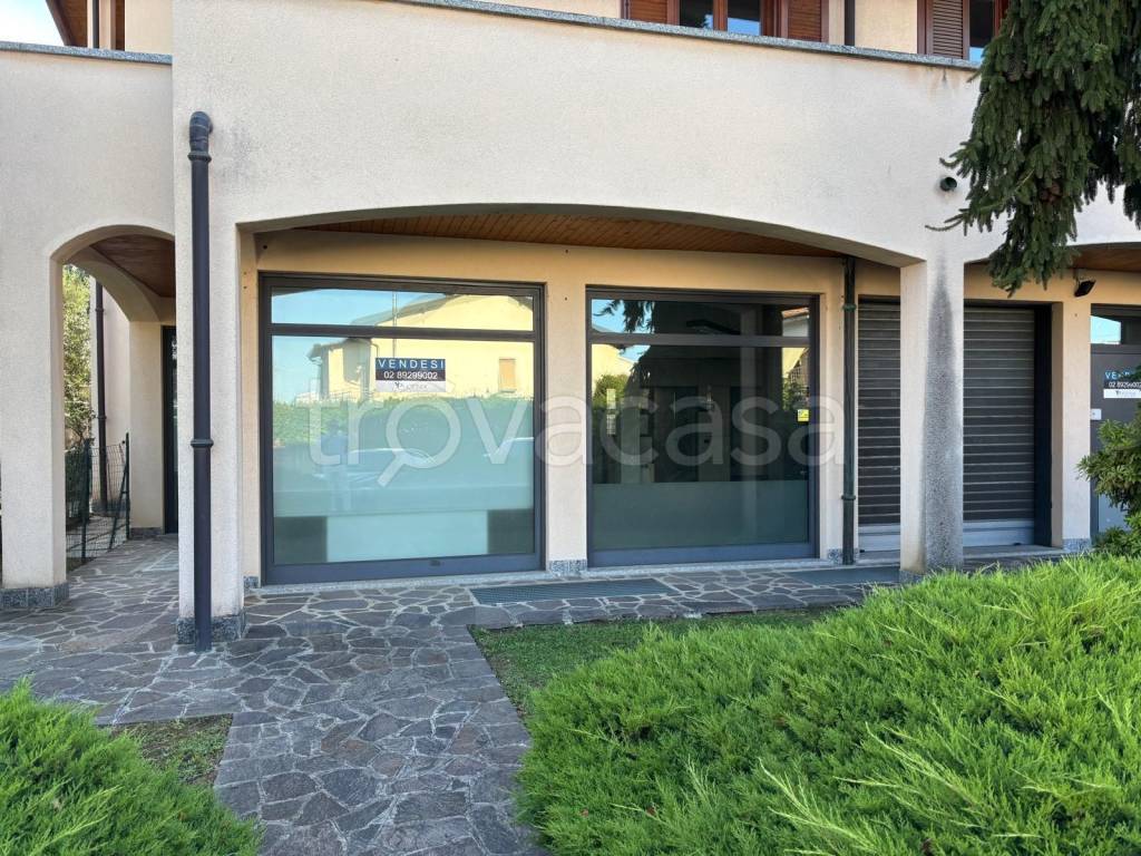 immagine annuncio 8 di 15