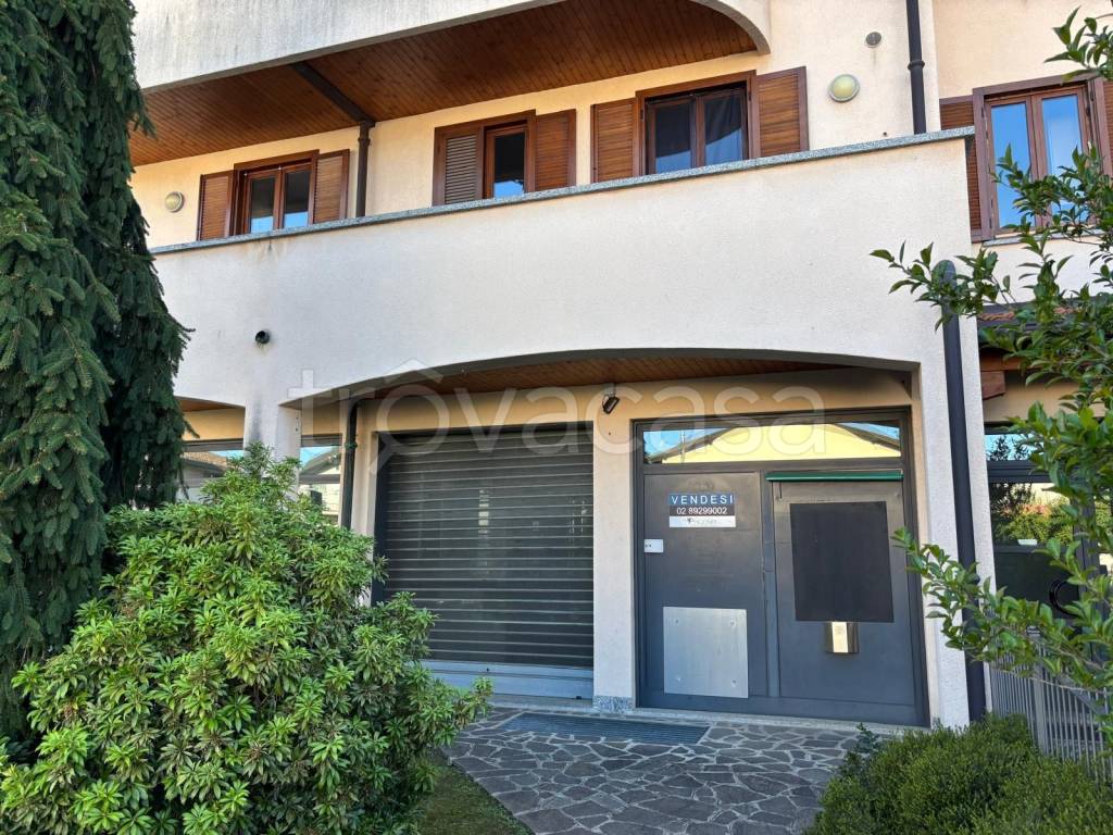 immagine annuncio 9 di 15