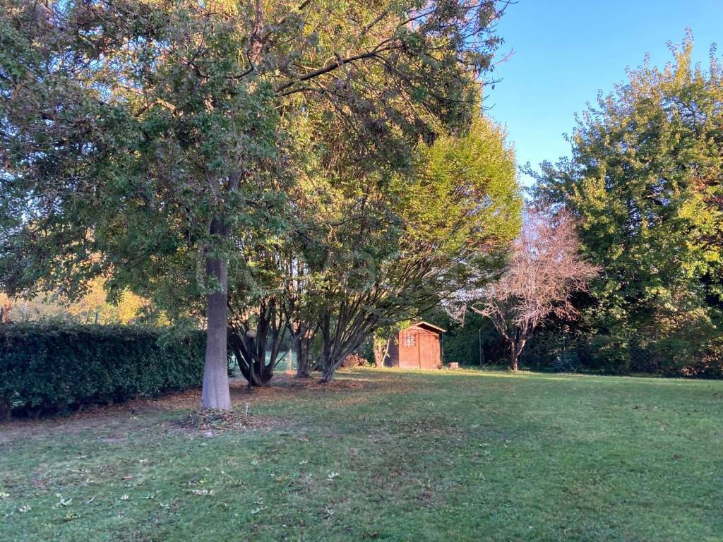 immagine annuncio 1 di 14