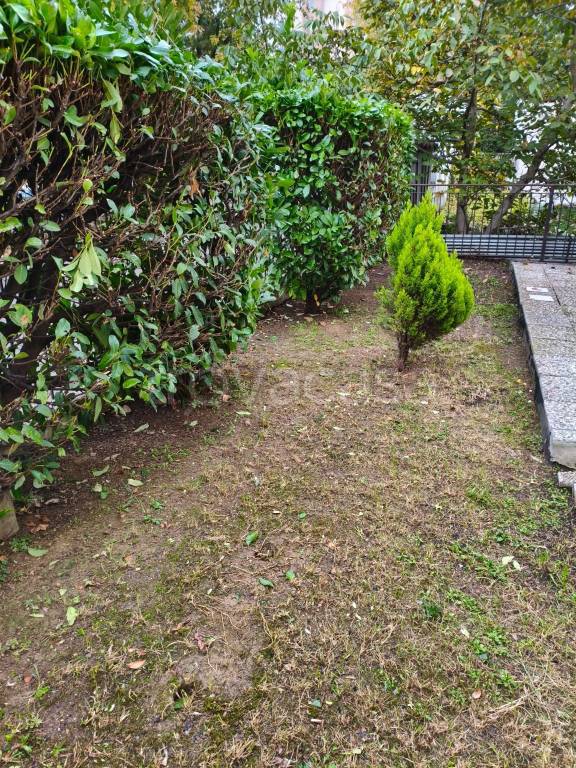 immagine annuncio 3 di 13