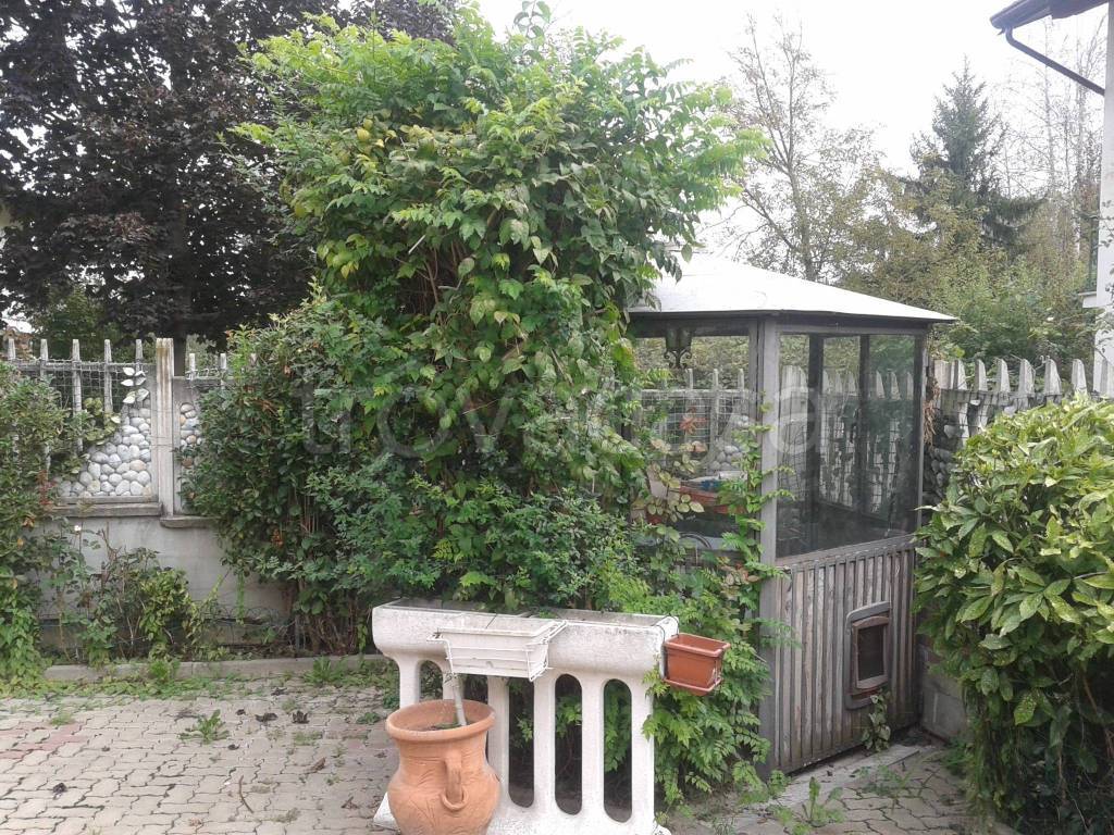 immagine annuncio 9 di 15